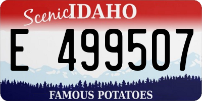 ID license plate E499507