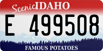 ID license plate E499508