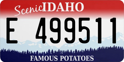 ID license plate E499511