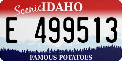 ID license plate E499513