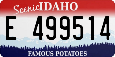 ID license plate E499514