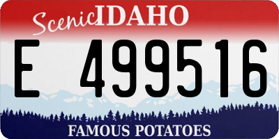 ID license plate E499516