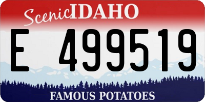 ID license plate E499519
