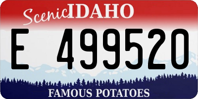 ID license plate E499520