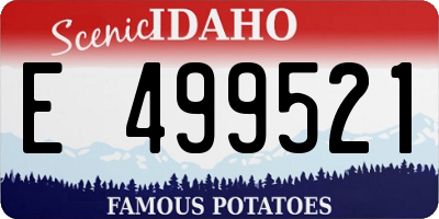 ID license plate E499521