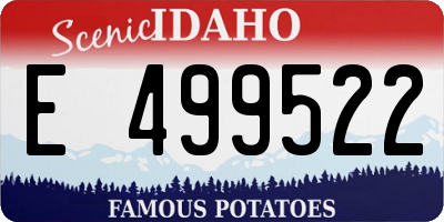 ID license plate E499522