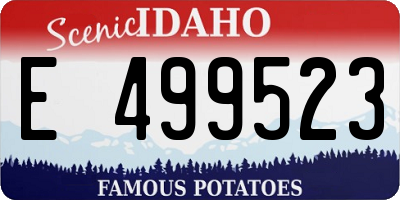 ID license plate E499523