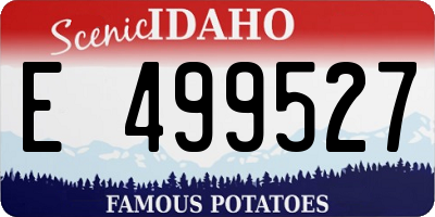 ID license plate E499527