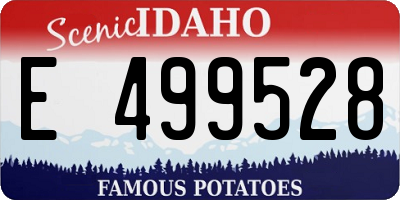 ID license plate E499528