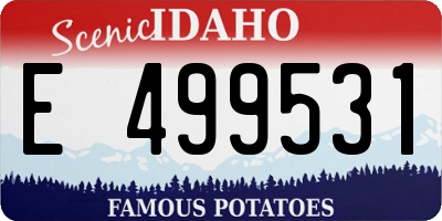 ID license plate E499531