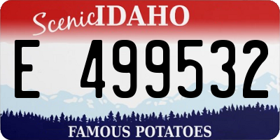ID license plate E499532