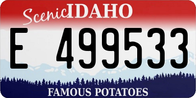 ID license plate E499533