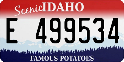 ID license plate E499534