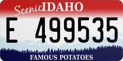 ID license plate E499535