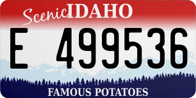 ID license plate E499536