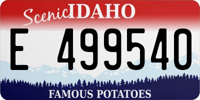 ID license plate E499540
