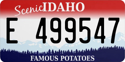 ID license plate E499547