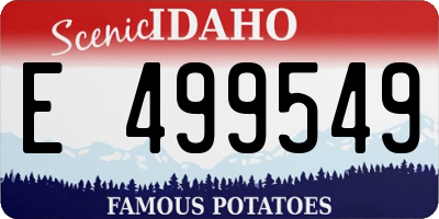ID license plate E499549