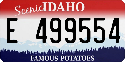 ID license plate E499554