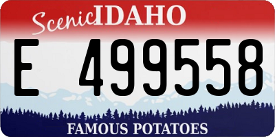 ID license plate E499558
