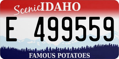 ID license plate E499559