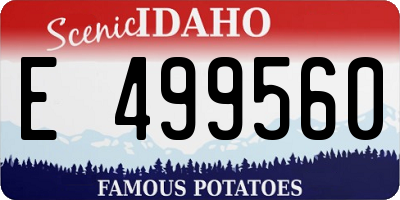 ID license plate E499560