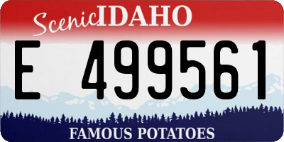 ID license plate E499561
