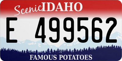 ID license plate E499562