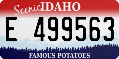 ID license plate E499563