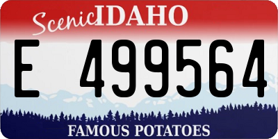 ID license plate E499564
