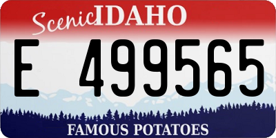 ID license plate E499565