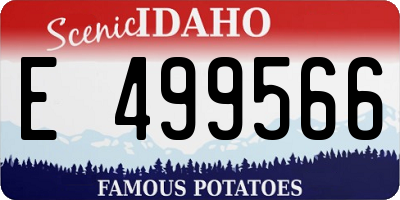 ID license plate E499566