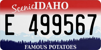 ID license plate E499567