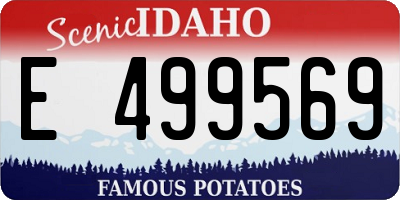 ID license plate E499569