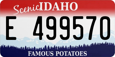 ID license plate E499570