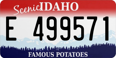 ID license plate E499571