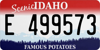 ID license plate E499573