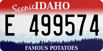 ID license plate E499574