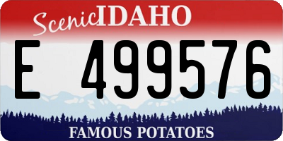 ID license plate E499576
