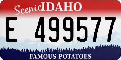 ID license plate E499577