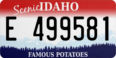 ID license plate E499581
