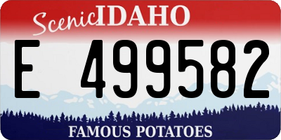 ID license plate E499582