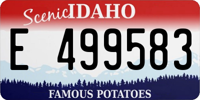 ID license plate E499583