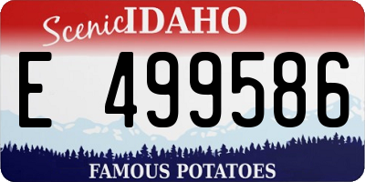 ID license plate E499586
