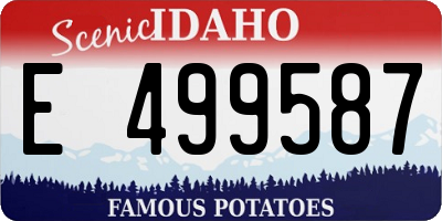 ID license plate E499587