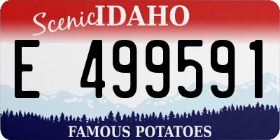 ID license plate E499591