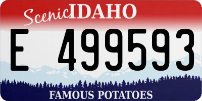 ID license plate E499593