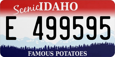 ID license plate E499595