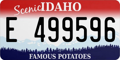 ID license plate E499596