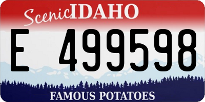 ID license plate E499598